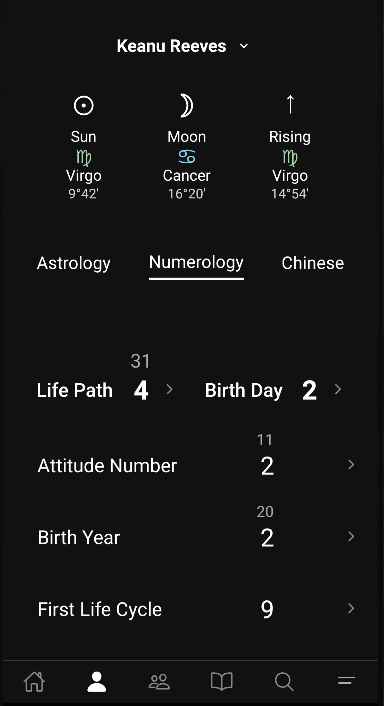 Spaceland Natal Chart Features